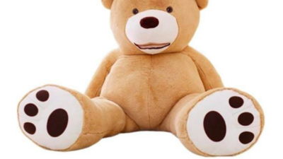 Bring joy to kids and adults with a giant teddy bear from France